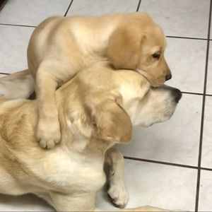 Meet your Posher, Connie